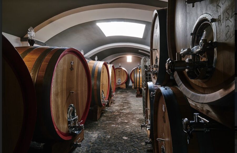 Mount Vesuvius: Vineyard Tour with Wine Tasting and Lunch - Price and value for $65 per person