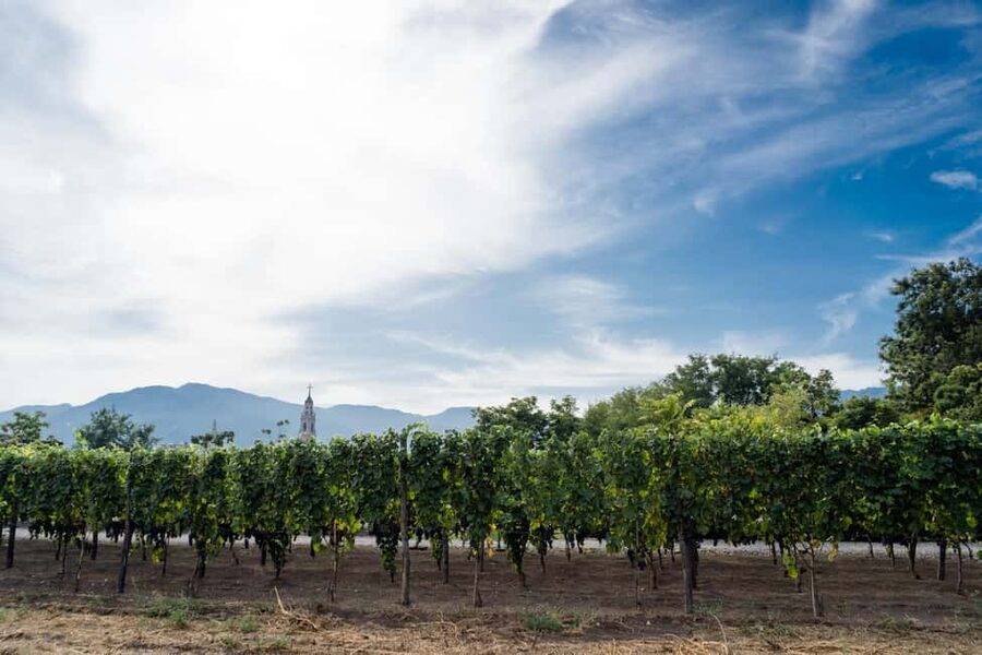 Mount Vesuvius Wine Tasting and Lunch from Pompeii - Key highlights that make this tour worth your afternoon