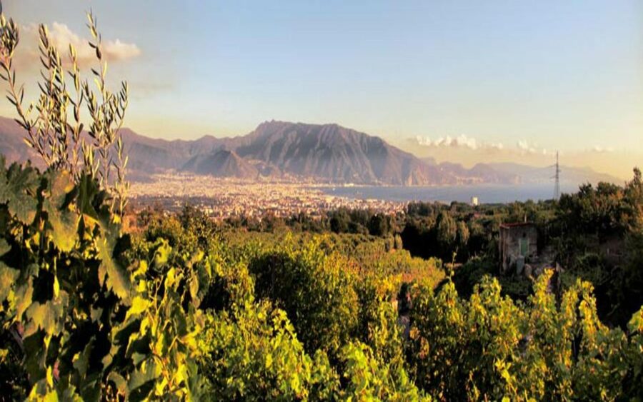 Mount Vesuvius Wine Tasting and Lunch from Pompeii - Views and photos above the Gulf of Naples, plus what happens in rain