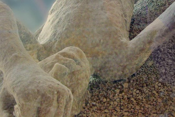 Mt Vesuvius and Pompeii Tour by Bus from Sorrento - Lunch: included or not, and why your expectations matter