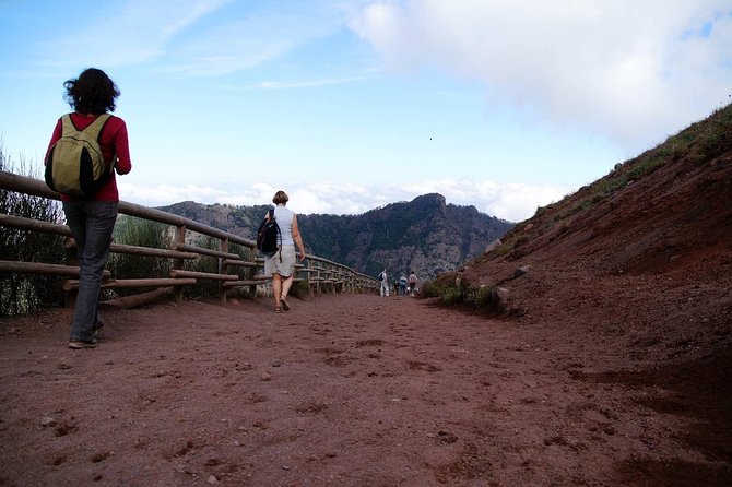 Mt Vesuvius and Pompeii Tour by Bus from Sorrento - Mount Vesuvius National Park and the crater experience