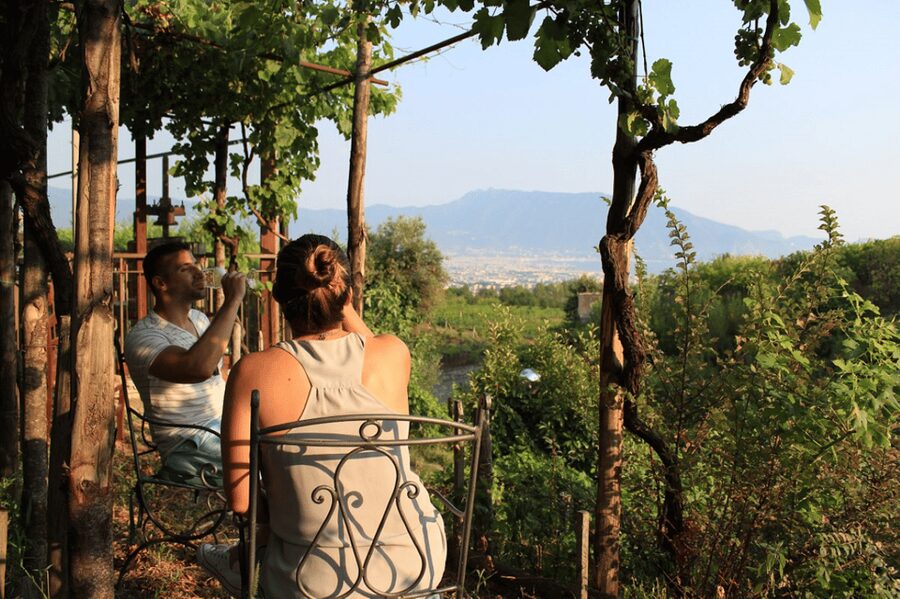 Naples: Pompeii and Herculaneum Tour with Tickets and Lunch - Key highlights to look forward to