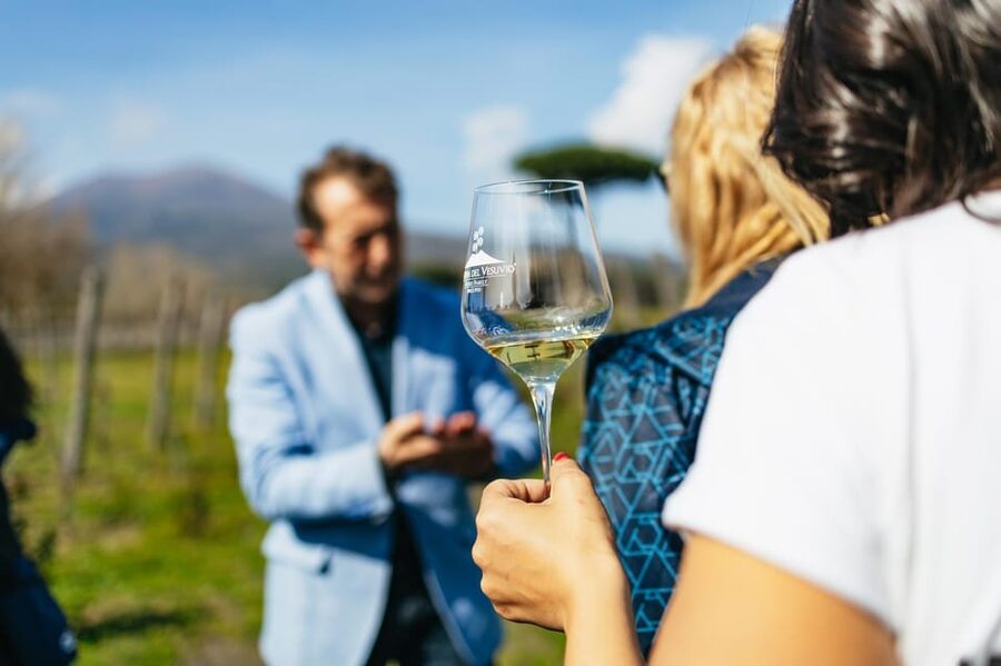 Naples: Pompeii and Mt. Vesuvius with Lunch and Wine Tasting - Key things I’d circle before you book