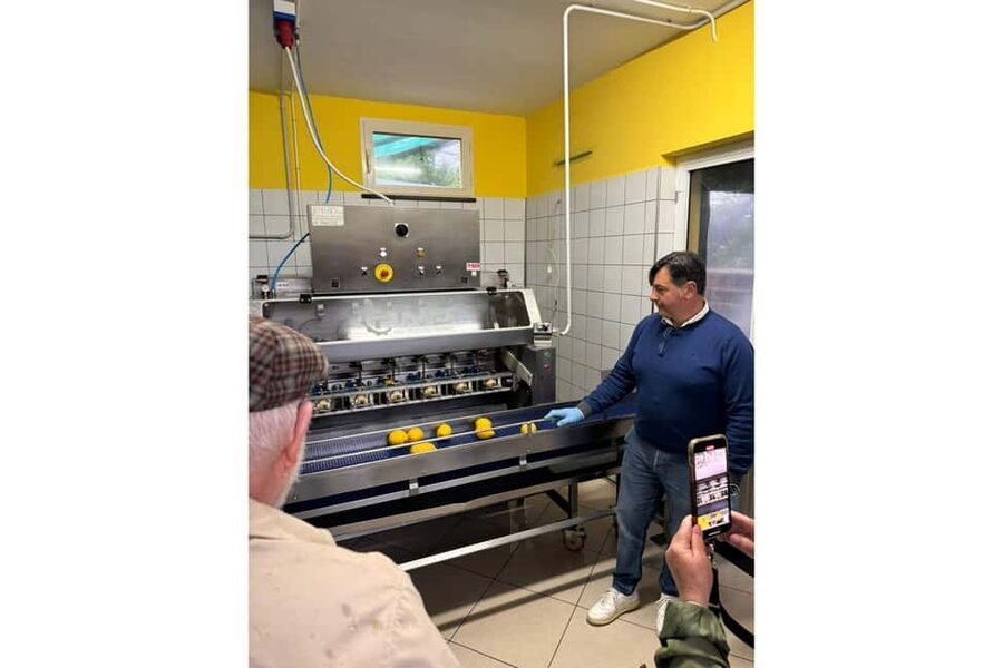 Nonno Mario Lemon Tour - Key points to know before you go