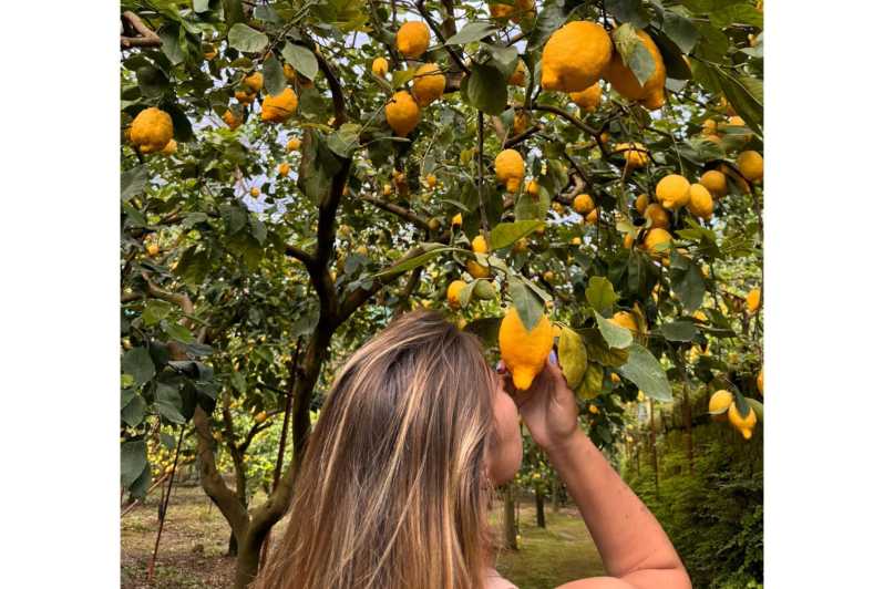Nonno Mario Lemon Tour - Ancient Lemon Grove to Lemon Lab, in Two Hours