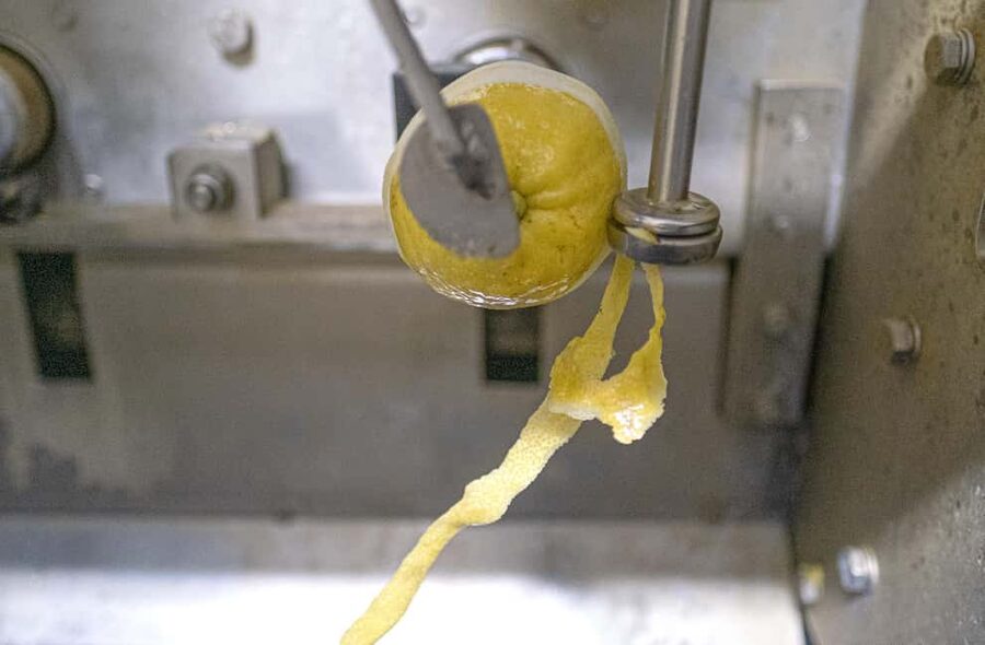 Nonno Mario Lemon Tour - The Lemon Path: Smell, Shade, and the Sensory Part of Learning