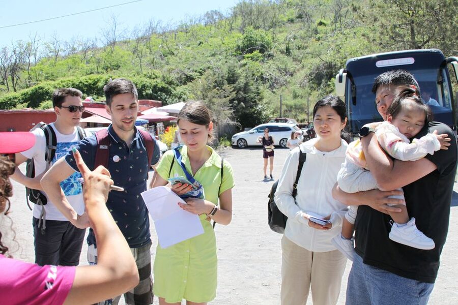 Pompei: Vesuvius and Herculaneum Tour - Skip-the-Line Tickets: What You Gain (and What You Still Need to Plan)