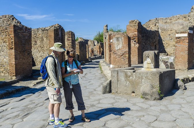Pompeii 2-hour Private Tour with an Archaeologist-Ticket included - Should you book this private Pompeii tour?
