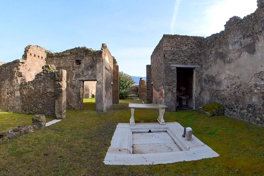 Pompeii: 2 Hours Skip the Line Visit with a Licensed Guide - Key things to know before you go