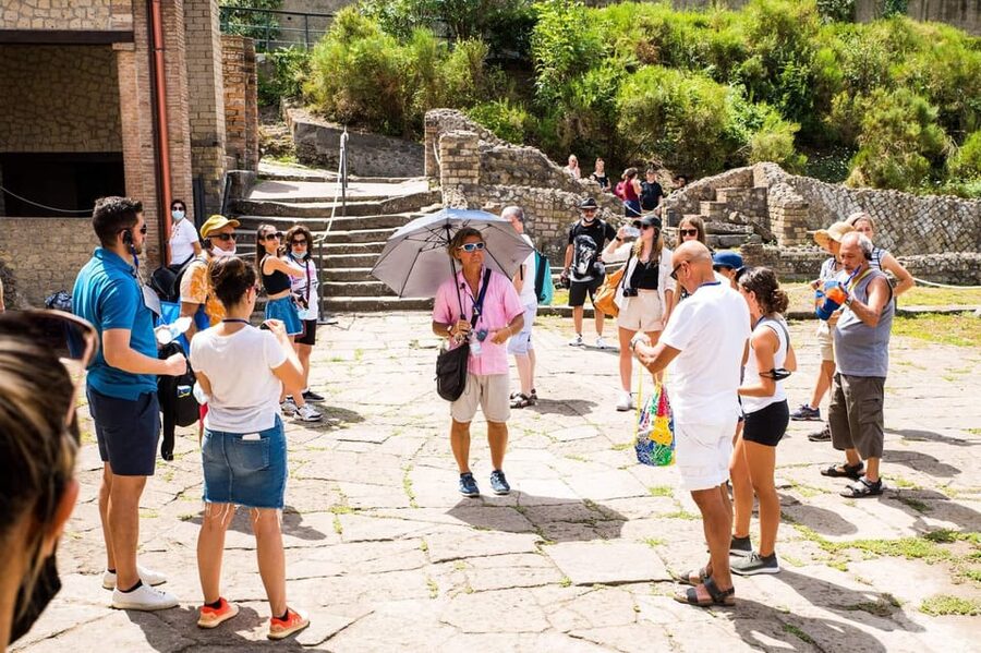 Pompeii: 2H group guided tour with a certified guide - Who This Pompeii Tour Fits Best