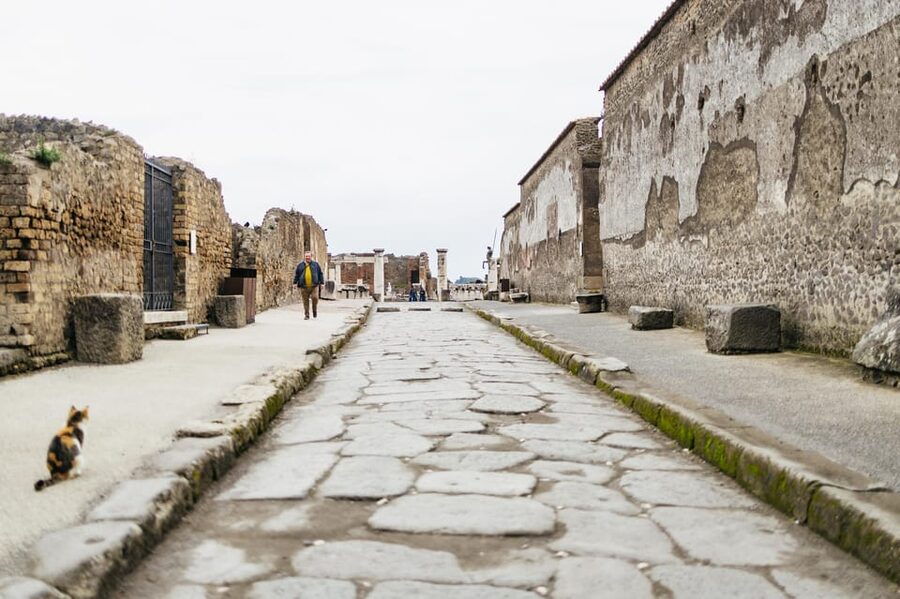 Pompeii: Afternoon to Sunset Guided Tour with Ticket - Walking, Heat, and Who This Tour Fits Best