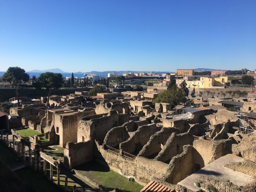 Pompeii and Herculaneum: Guided Tour with an Archaeologist - Should you book this Pompeii and Herculaneum archaeologist tour?