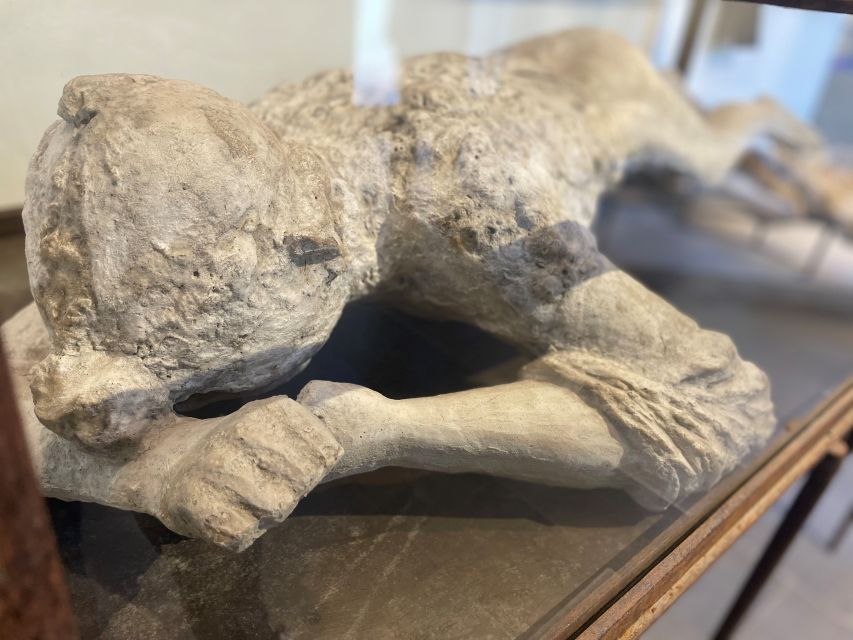 Pompeii and Herculaneum: Guided Tour with an Archaeologist - Meeting at Suisse Restaurant, then into Pompeii for the key city story