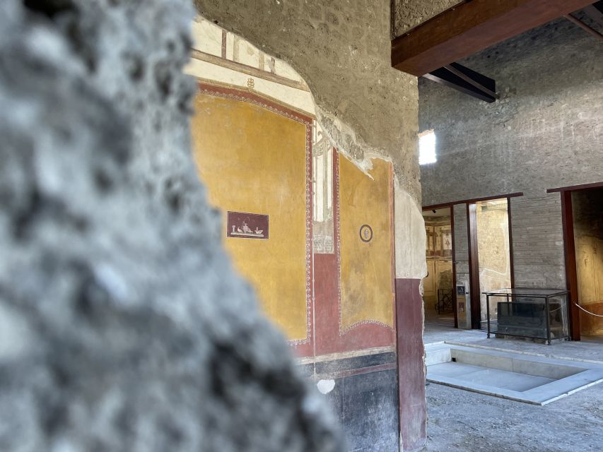 Pompeii and House of Vettii Guided Tour - What You’ll Learn About Life Before the 79 AD Eruption