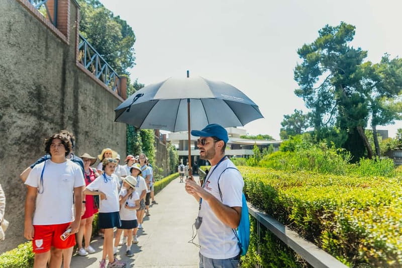 Pompeii: Archaeological Park Tour with Ticket on request - Heat, timing, and where shade becomes a lifesaver
