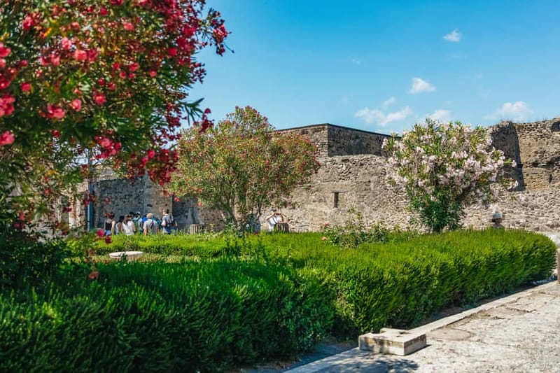 Pompeii: Archaeological Park Tour with Ticket on request - What you skip: the Express ticket and why it matters at Pompeii