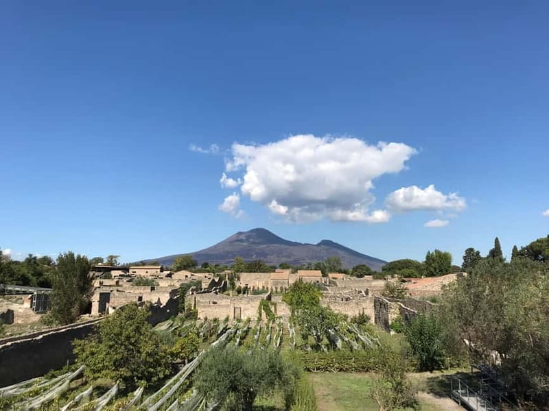 Pompeii: Archeological Tour & Wine Tasting at Mt. Vesuvius - Casa Setaro winery: how the tasting is structured