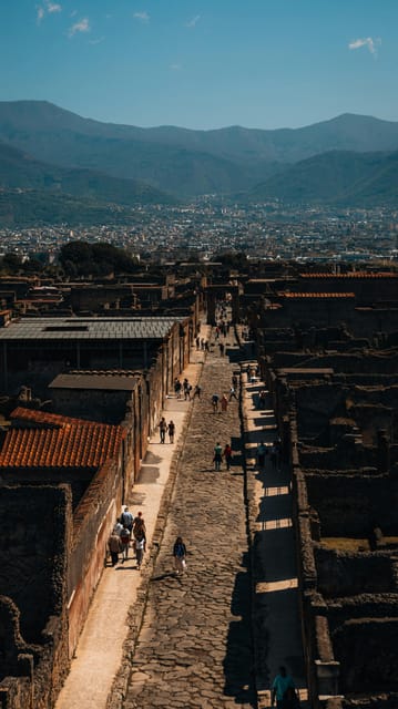 Pompeii: Entrance Ticket - Skip the Line - Accessibility and Getting There With Mobility Needs