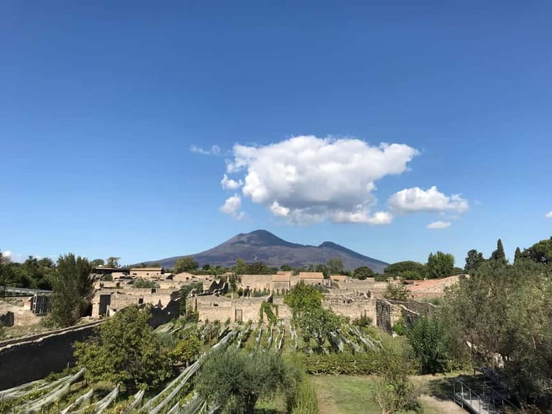 Pompeii: Exclusive Tour with Archaeologist and Entry Tickets - Basilica and the Foro Civile: the civic heart of everyday life