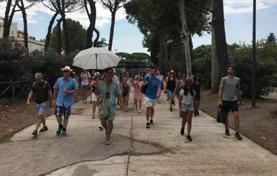 Pompeii: Group Tour with an Archeologist Guide - Stop by Stop: What Each Major Area Teaches You