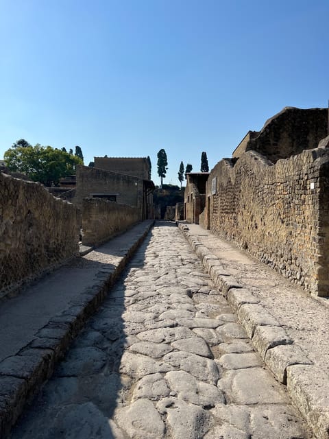 Pompeii Guided Experience - Tour Service Only - Pompeii in small-group style: how the guide changes everything