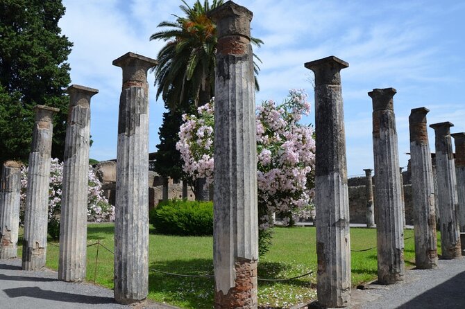 Pompeii: Guided Small Group Tour Max 6 People with Private Option - Price and value: what you are paying for, and what you get back