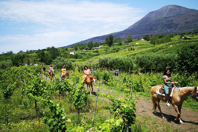 Pompeii Guided Tour & Horse Riding on Vesuvius with Lunch - The Pompeii stop: a skip-the-line guided visit that gets you oriented fast