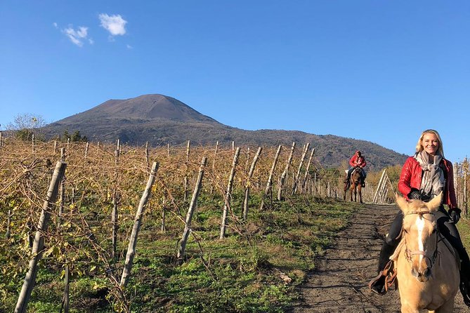 Pompeii Guided Tour & Horse Riding on Vesuvius with Lunch - Price and value: is $240.65 for Pompeii, lunch, and horses a fair deal?