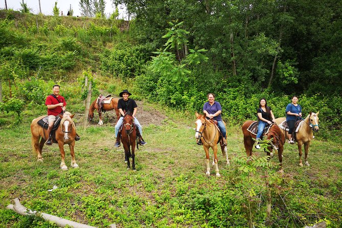 Pompeii Guided Tour & Horse Riding on Vesuvius with Lunch - Who should book this tour, and who might want a different plan