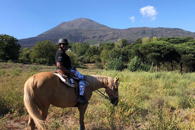 Pompeii Guided Tour & Horse Riding on Vesuvius with Lunch - Trecase and the winery lunch: local ingredients plus wine tasting with the volcano in view