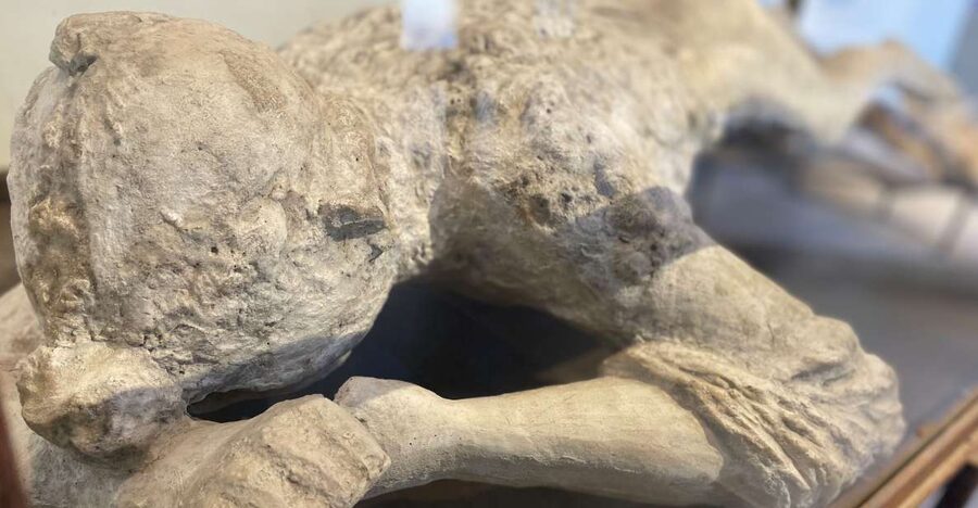 Pompeii: Guided Tour with Archaeologist with max. 12 People - Price and time: $65 for 2 hours, with real extras
