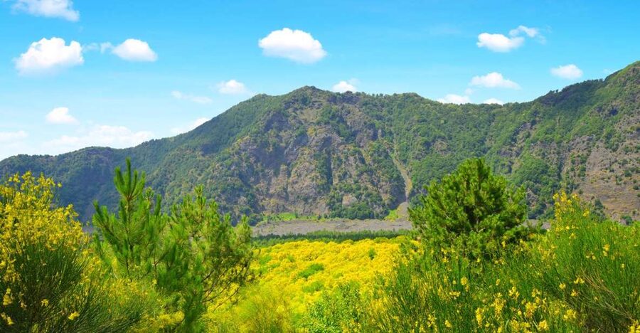Pompeii, Herculaneum and Vesuvius Tour - Key things I’d plan for before you go