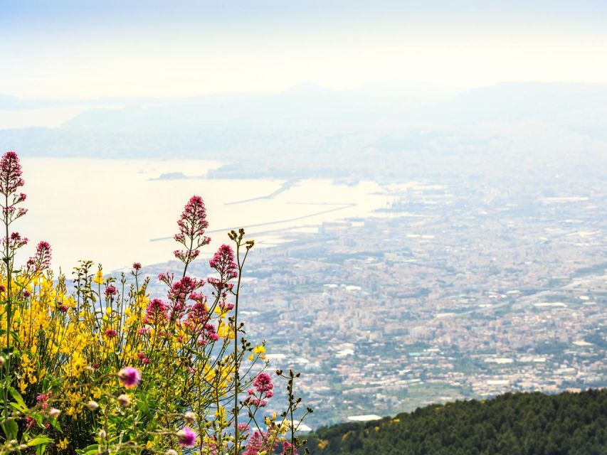 Pompeii, Herculaneum and Vesuvius Tour - A Tight 8 Hours, Three Big Icons