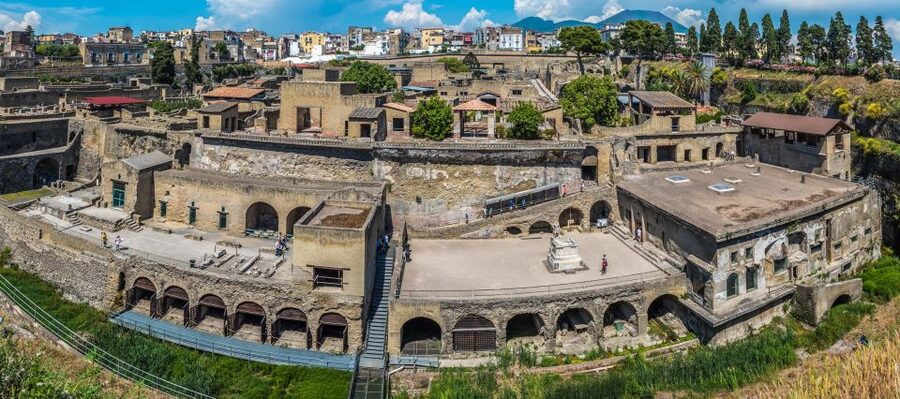 Pompeii, Herculaneum and Vesuvius Tour - Driver English, Audioguides, and the Freedom to Move