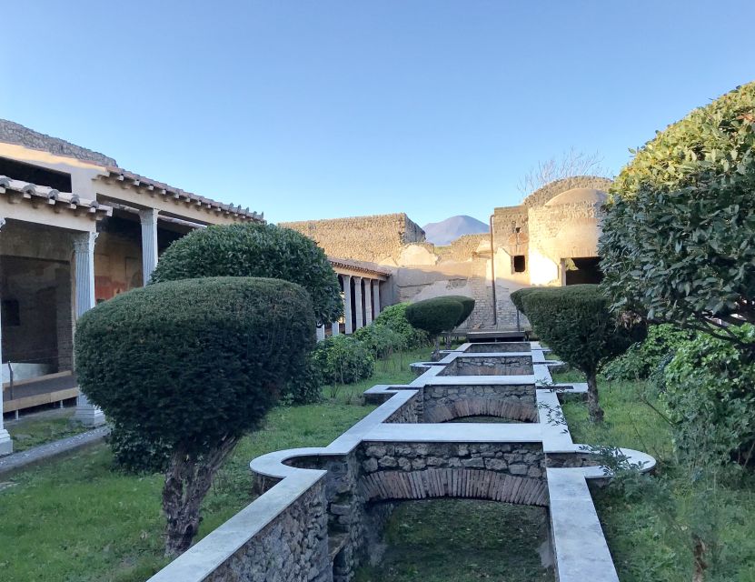 Pompeii & Herculaneum Private Skip-the-Line Tour with Ticket - Accessibility and Practical Limits to Know