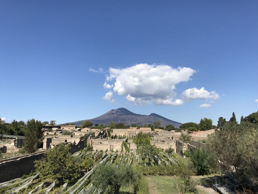 Pompeii & Herculaneum Private Skip-the-Line Tour with Ticket - Where You Meet, How Long You Have, and How the Day Flows