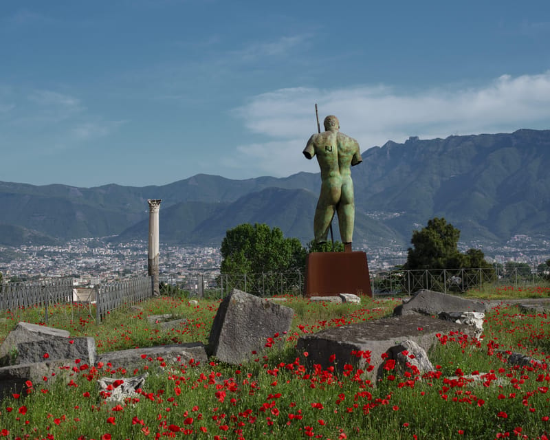 Pompeii & Herculaneum: Skip-the-line & Digital Guide App - Pompeii first: what to expect when the ash is in your face