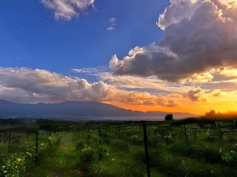 Pompeii: Mount Vesuvius Night Horseback Ride and Italian BBQ - Night On Vesuvius, Why This Evening Feels Different