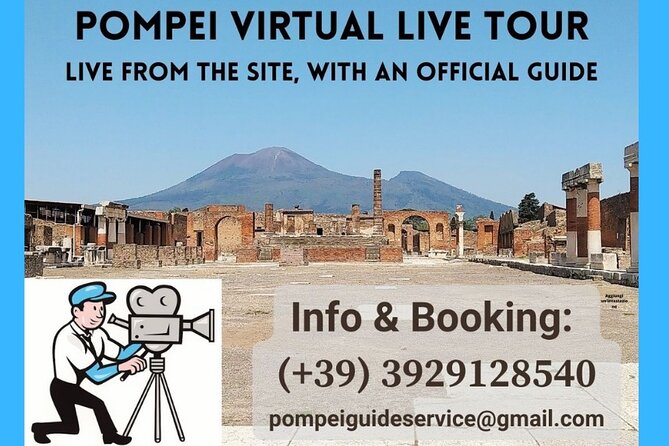Pompeii private tour with an Official Guide - Price and value: $107.63 per group, plus the ticket you still need
