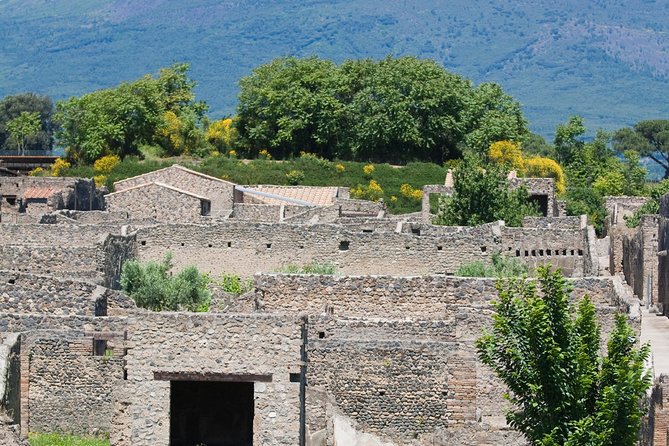 Pompeii Ruins Half-Day Tour from Sorrento with Guide - Vesuvius context, plus guides who tell the story clearly
