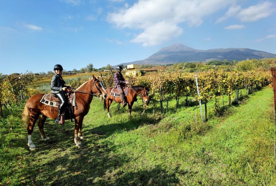 Pompeii: Ruins Tour and Mount Vesuvius Horseback Ride - The Van Transfers: Small Breaks That Keep the Day From Getting Crazy