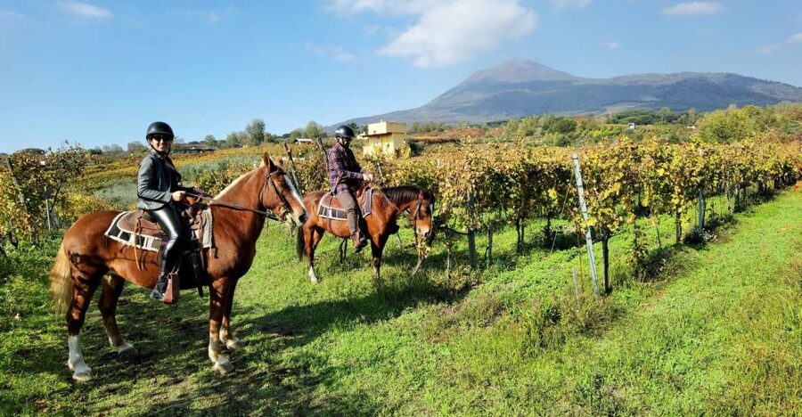 Pompeii: Ruins Tour and Mount Vesuvius Horseback Ride - The Pompeii Ruins Walk: 2 Hours With a Guide Who Connects the Dots