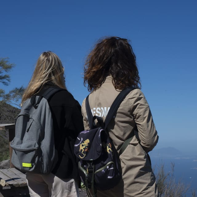 Pompeii Ruins & Vesuvius Full-Day Tour from Pompeii - A Roman City and an Active Volcano, in One Packed Day