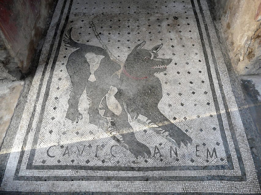 Pompeii: Skip-the-Line Entry & Audioguide - Key Points Before You Go