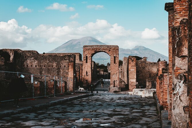 Pompeii: Skip the line ticket (art) + audioguide + map - Price and what you’re really paying for at this price