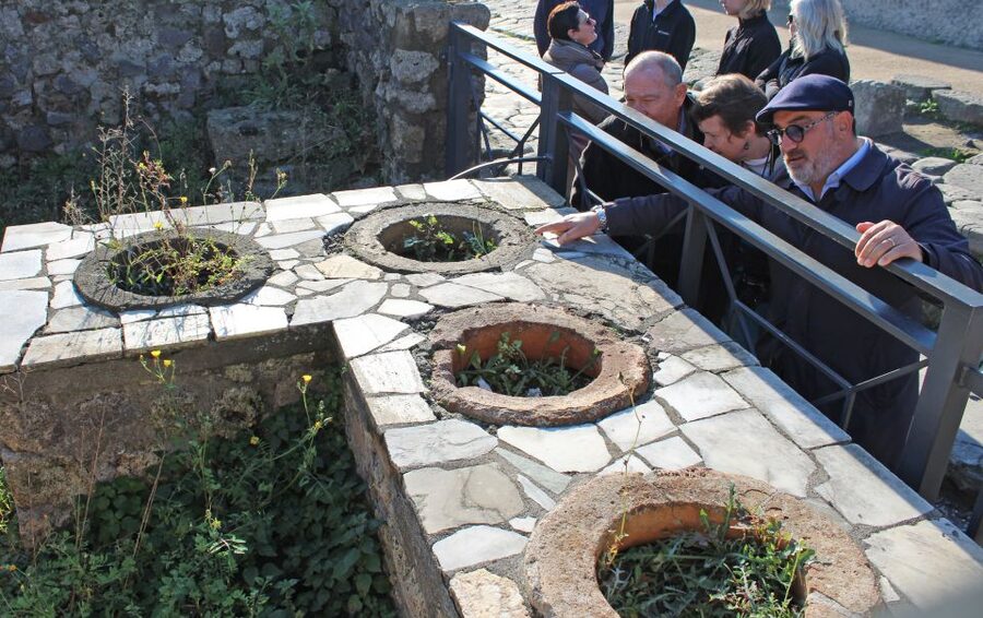 Pompeii: Skip-the-Line Tickets and Tour with Archaeologist - Your Guide Changes Everything: Meet the Archaeologist