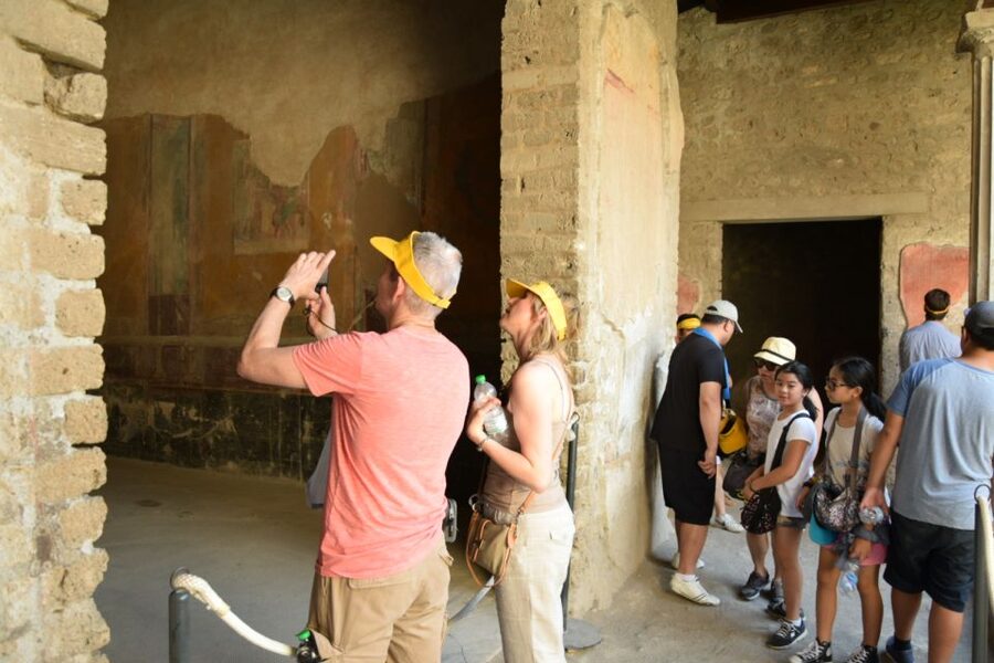 Pompeii Skip-the-Line Tour with Expert Archeological Guide - Houses of Vettii and Menander: wealth, taste, and what the walls were saying