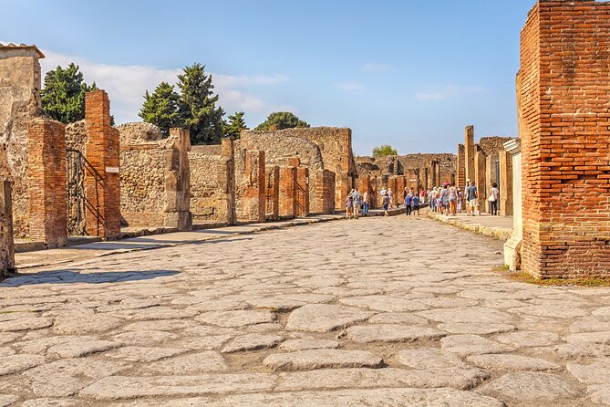 Pompeii Ticket + Tour with Optional Tasting Experience at Pompeii - Group Size and Pacing: What It Feels Like on the Ground