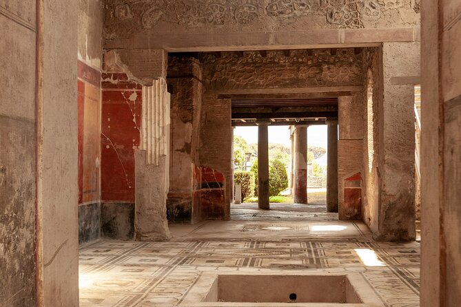 Pompeii Tour & Lunch with Wine Tasting Experience - Pompeii plus Vesuvius wine: what makes this day feel worth it