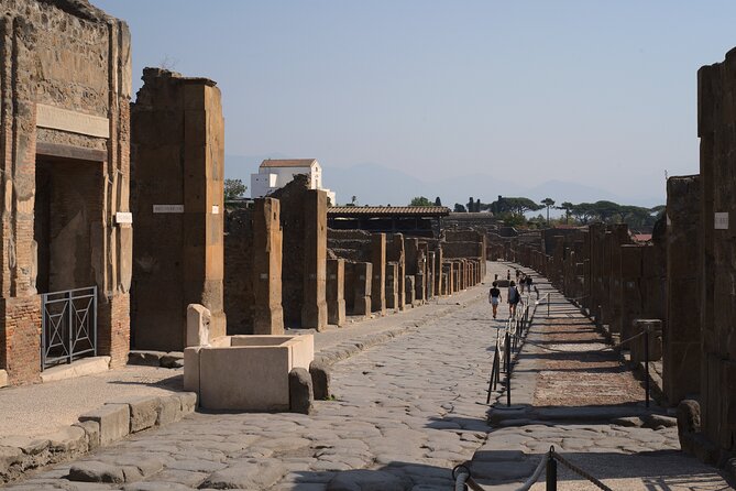 Pompeii Tour & Lunch with Wine Tasting Experience - Group size, guide names, and why pacing is everything at Pompeii